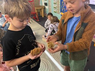 Classroom action and activities