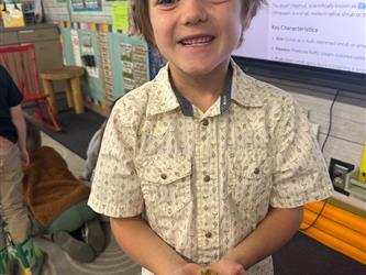 Classroom action and activities