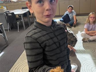 Classroom action and activities