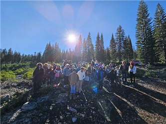 students in the forest