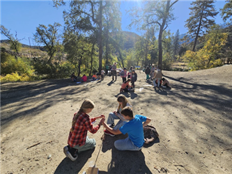 students sitting in forest